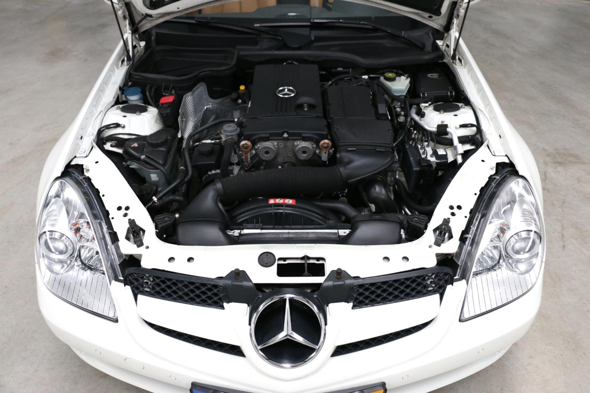 32409831-89.jpg
