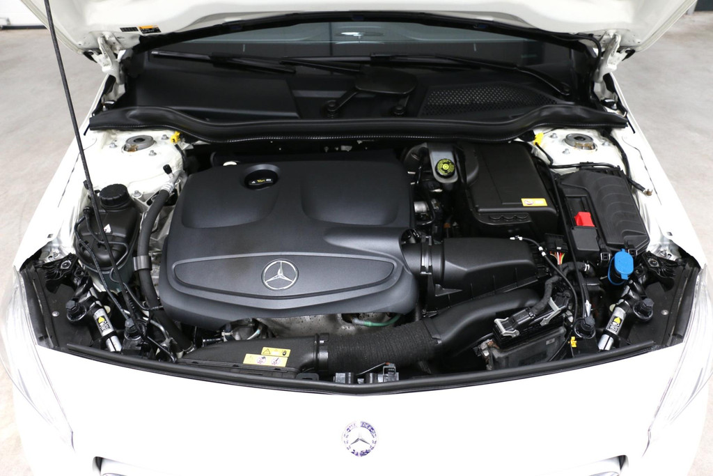 40730917-35.jpg