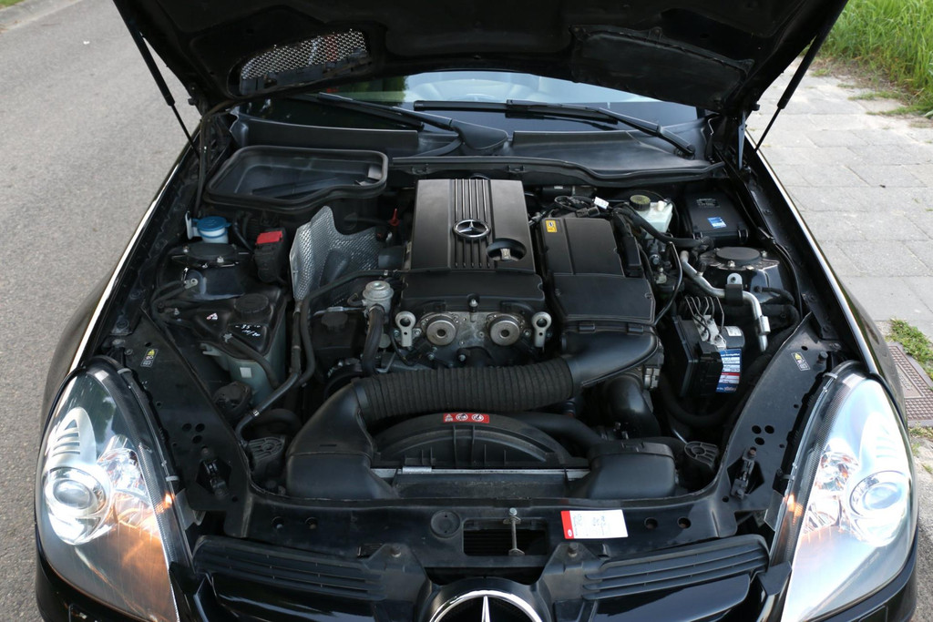 44896791-50.jpg