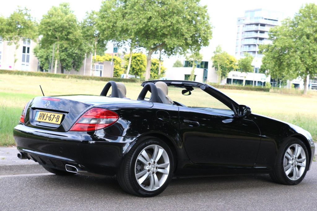 46335664-4.jpg