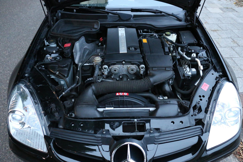 47763819-16.jpg