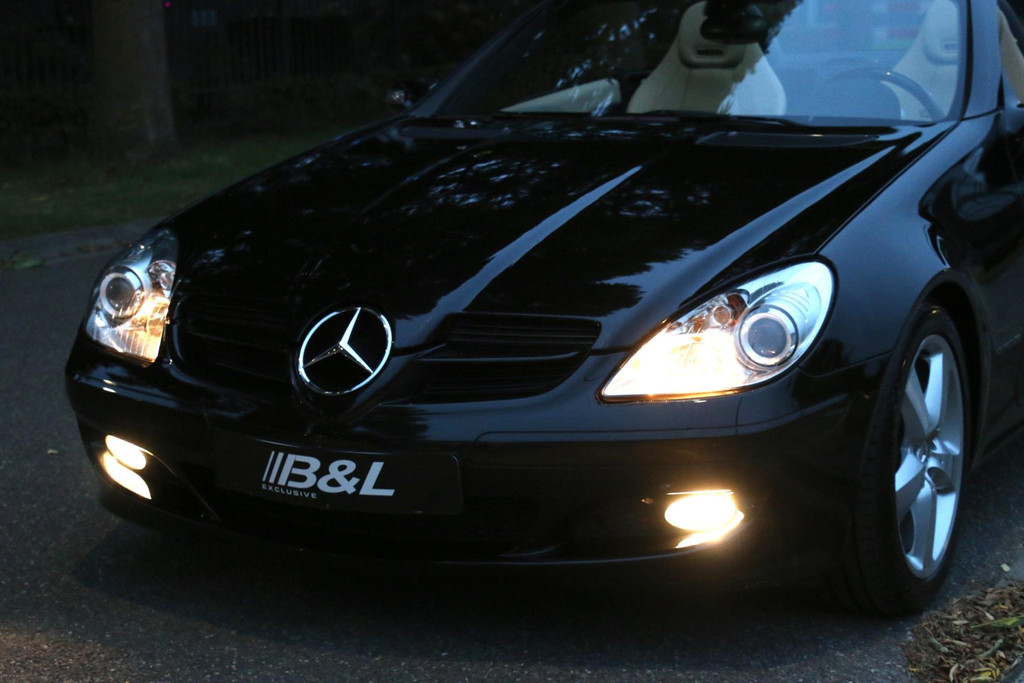 47763819-51.jpg