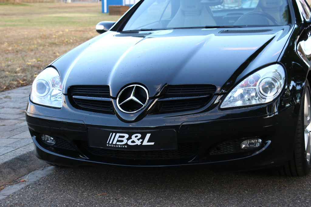 47763819-72.jpg