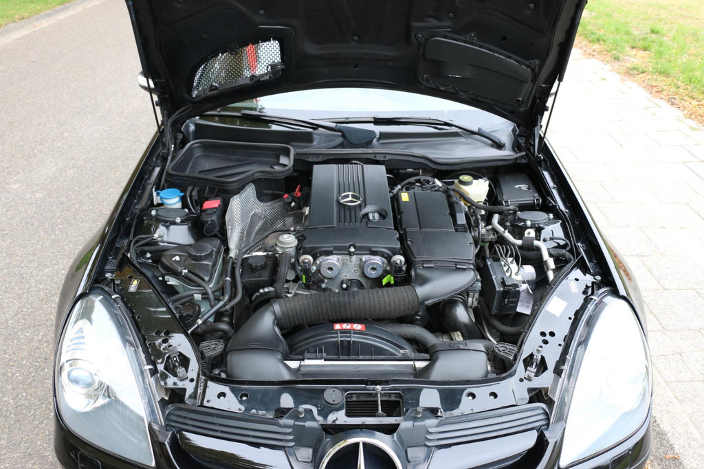 48019412-67.jpg