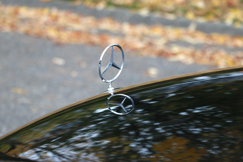 48336374-15.jpg