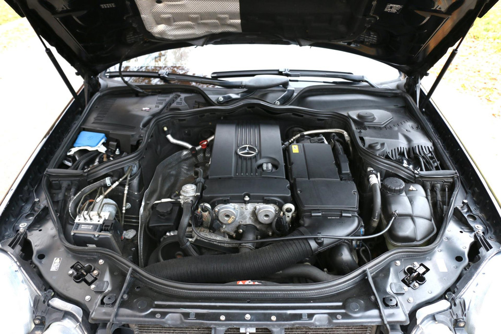 48336374-9.jpg