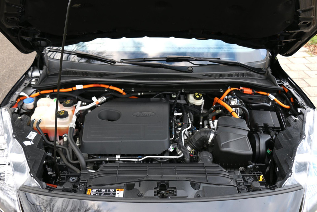49380691-57.jpg