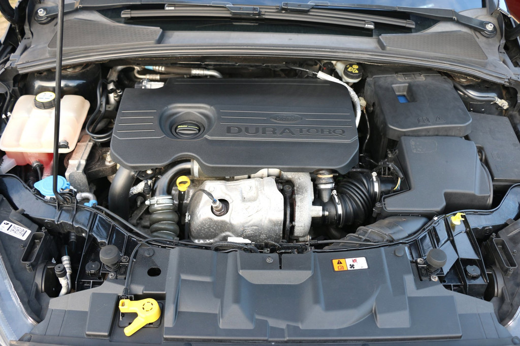 52210276-38.jpg