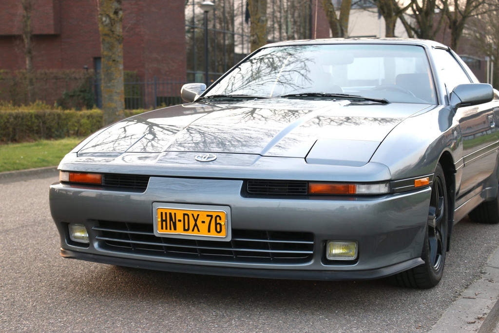 52349108-20.jpg