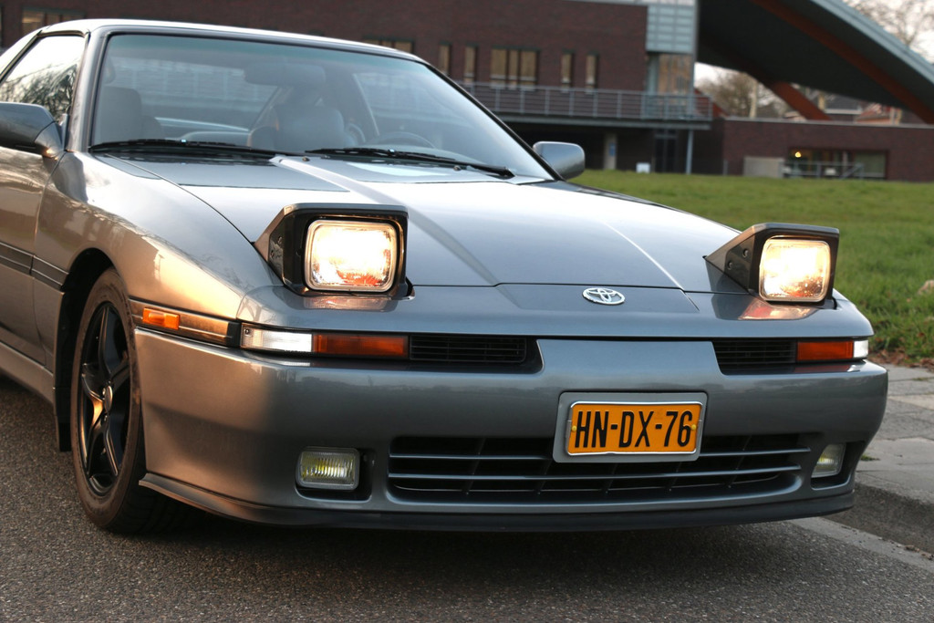 52349108-25.jpg
