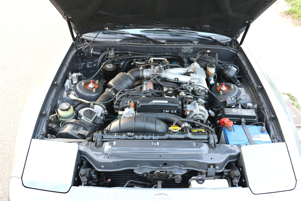 52349108-28.jpg