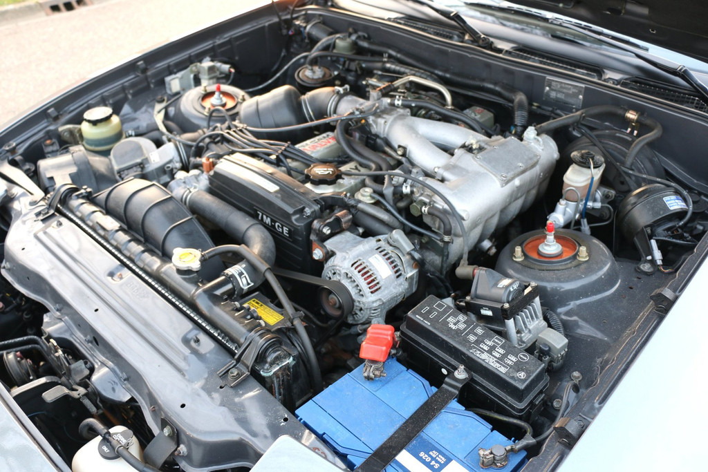 52349108-30.jpg