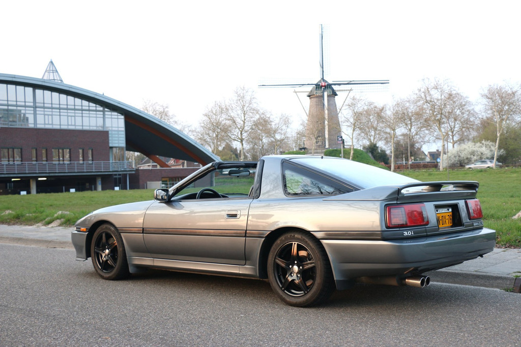 52349108-4.jpg