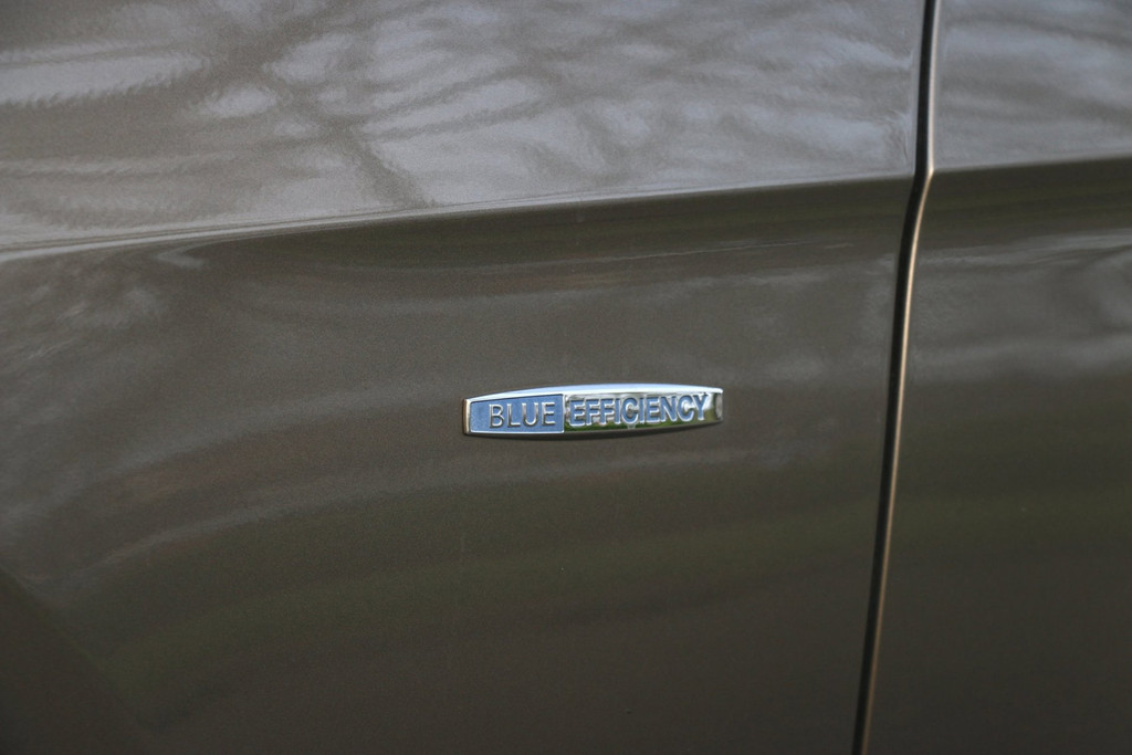 52786504-36.jpg