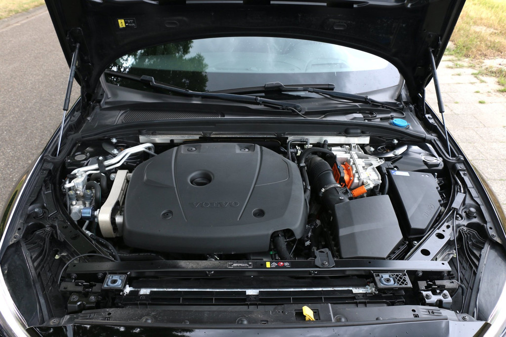 54251877-23.jpg